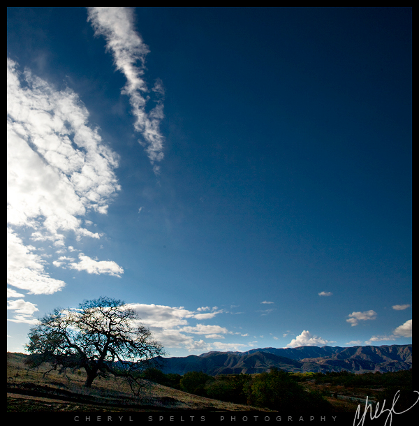 Blue Sky in De Luz // Photo: Cheryl Spelts