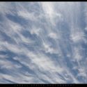Cirrus Clouds // Photo: Cheryl Spelts