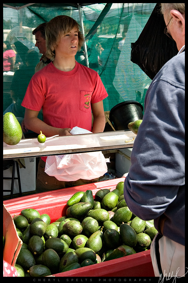 Fresh Local Avocados // Photo: Cheryl Spelts