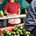 Fresh Local Avocados // Photo: Cheryl Spelts