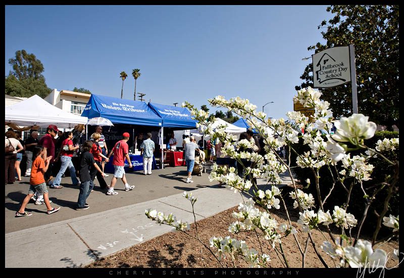 Fallbrook Avocado Festival // Photo: Cheryl Spelts