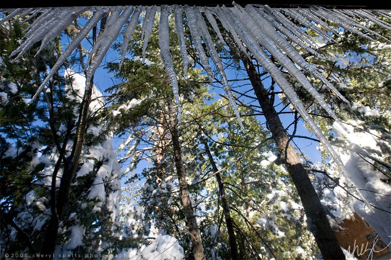 Icicles in Idyllwild // Photo: Cheryl Spelts