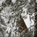 Idyllwild Snow // Photo: Cheryl Spelts