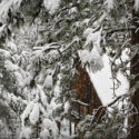 Idyllwild Snow