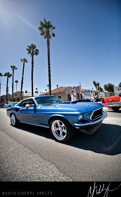 Hot Cars and Palm Trees // Photo: Cheryl Spelts