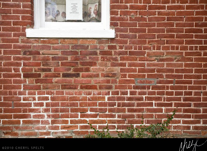Old Bricks // Photo: Cheryl Spelts