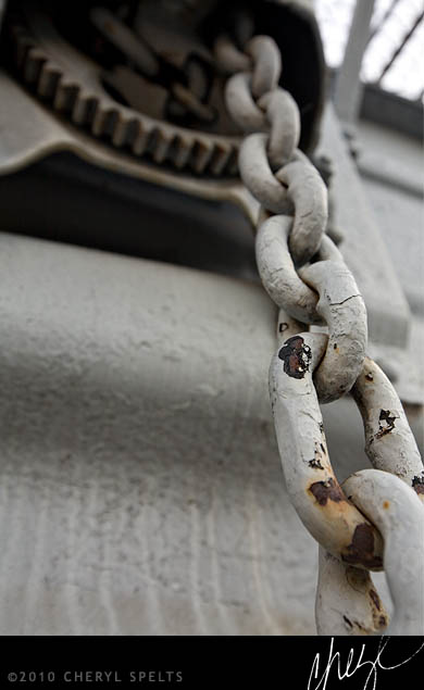 Chain // Photo: Cheryl Spelts