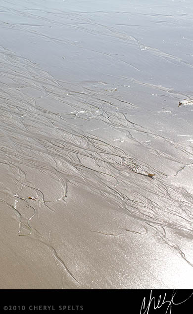 Shimmering Sand // Photo: Cheryl Spelts