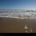 The Ocean // Photo: Cheryl Spelts