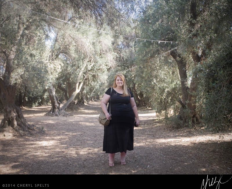 Among the Olive Trees