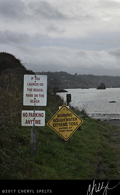 Don't Park on the Beach // Photo: Cheryl Spelts